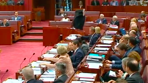 170817 PAULINE'S PEEK-A-BOO